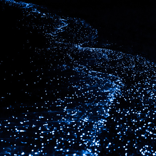 Bioluminescent Kayak Adventure in Tomales Bay in San Francisco at Virgin Experience Gifts Gifts