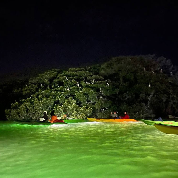 Nighttime Kayak Tour