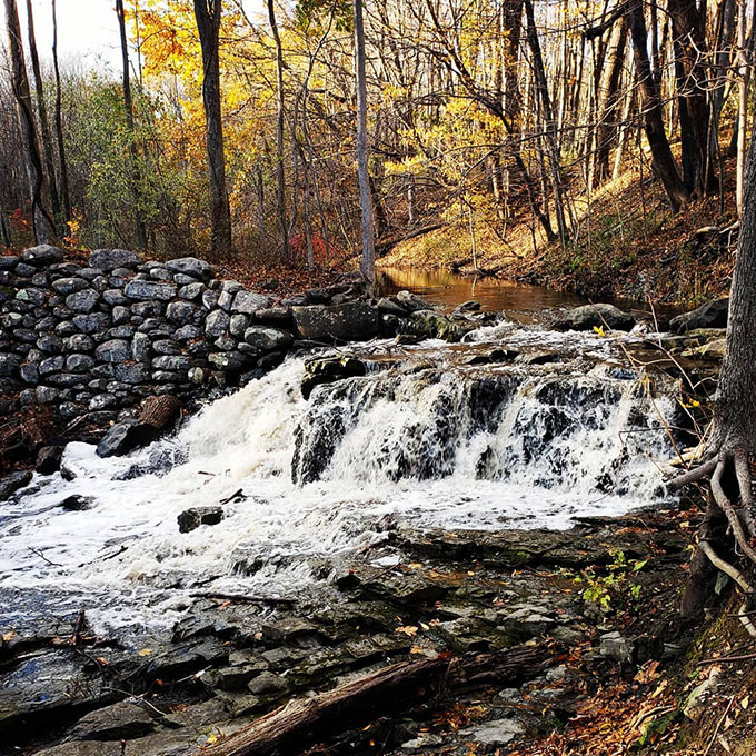 Brandywine Valley Experience