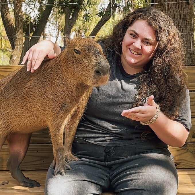 Capybara Encounter at the Wild Florida Gator Park