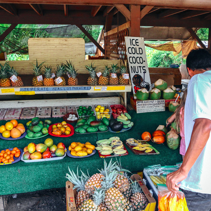 Tastes and Sights of Oahu