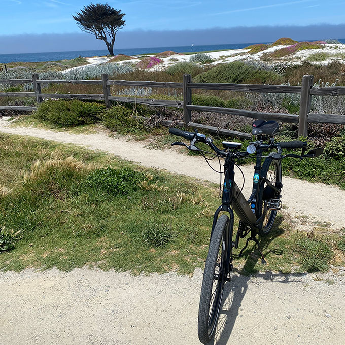 Bike Tour for Half Day