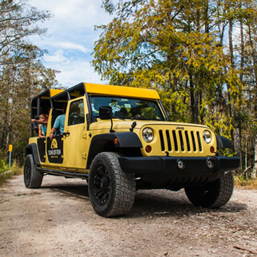 Everglades Jeep Tour near Fort Lauderdale 