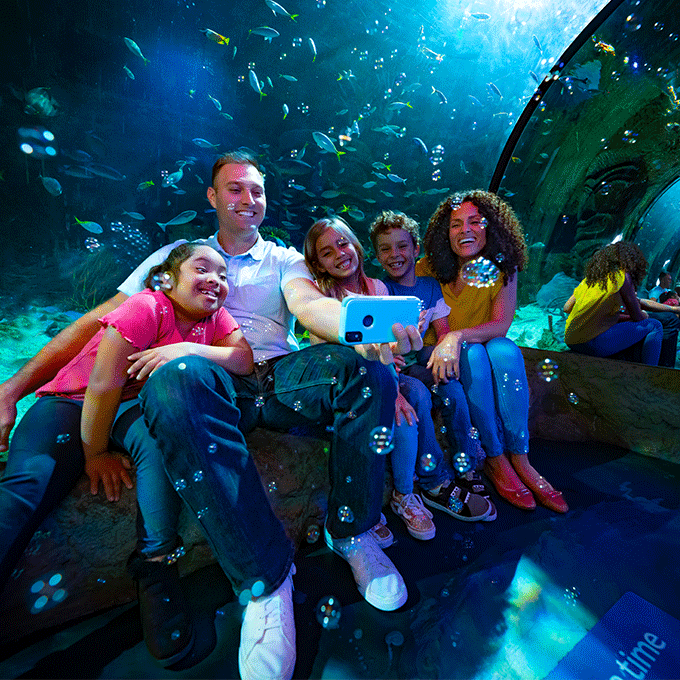 Admission to the SEA LIFE Orlando Aquarium and VR Experience Virgin