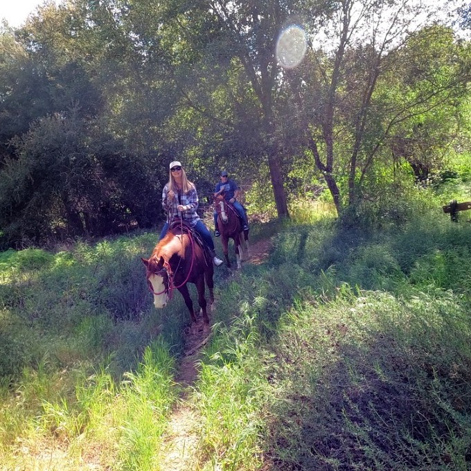 Horseback Ride in Temecula
