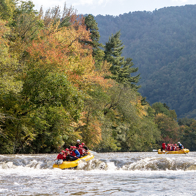 French Broad Whitewater Rafting