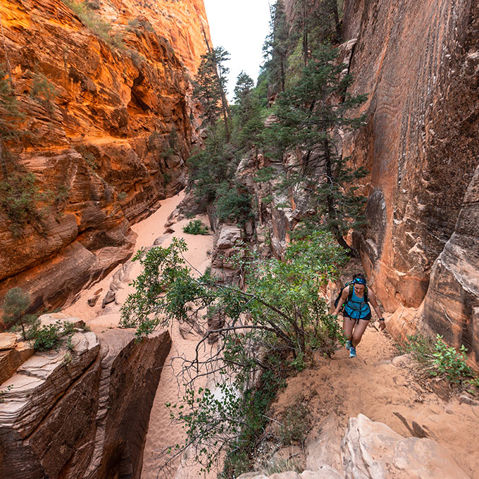 Zion Canyoneering Adventure