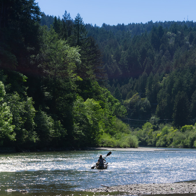 Kayaking on the Russian River