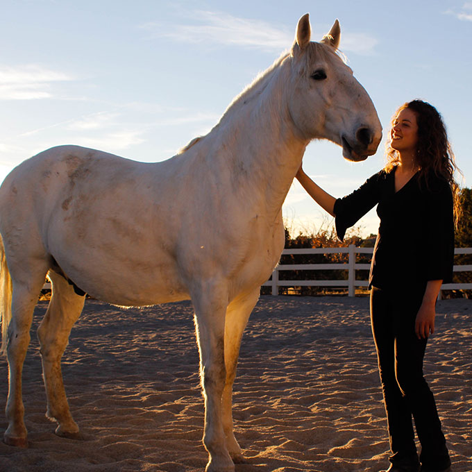 Children Horse Whispering Experience