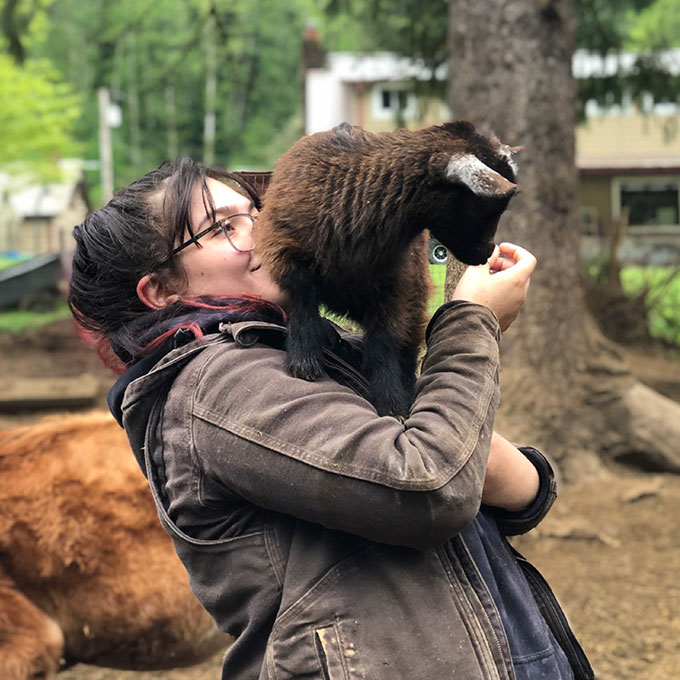 Playing with Goats