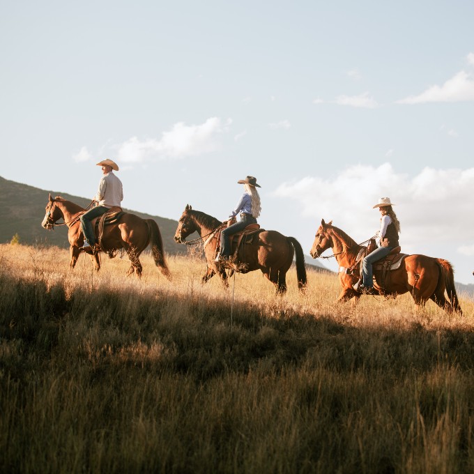 Three horses climbing hill