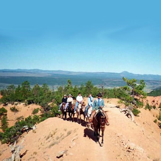 Riding Horses Utah