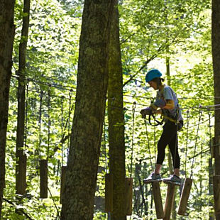 Play Among The Trees in Lansing