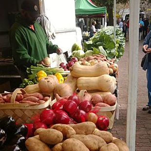 Charleston Farmers Market Tour