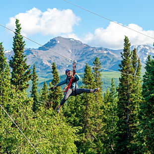 Ziplining in Denali Park 