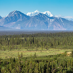 Denali Highway Jeep Tour in Alaska