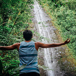 Enjoying Manoa Falls during Hawaii Tour