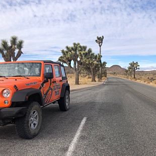 Jeep driving on road