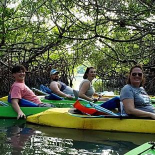 Family in Mangroves