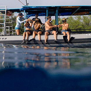 Family Morning Snorkel Trip