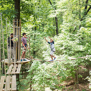 Ziplining in Memphis 