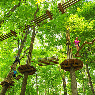 Zip Line Adventure Course