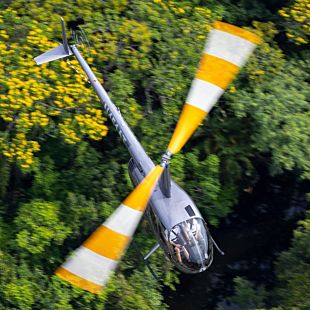 Above helicopter flying over trees