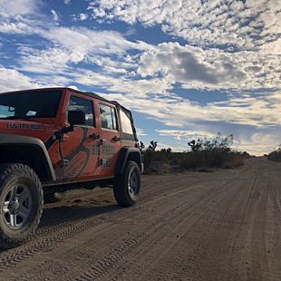 Jeep driving on road