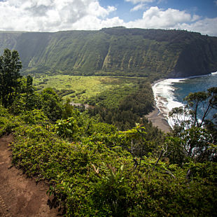 Big Island Sightseeing Tour