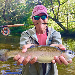 Guided Fishing Experience in Lake Norman