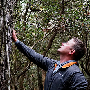 Forest Bathing in Asheville