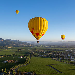 Balloon tour online