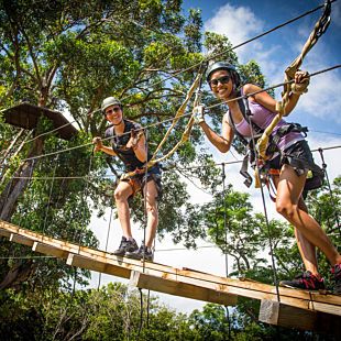 Maui Aerial Course