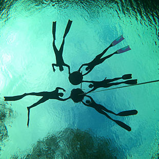 Padi Freedive