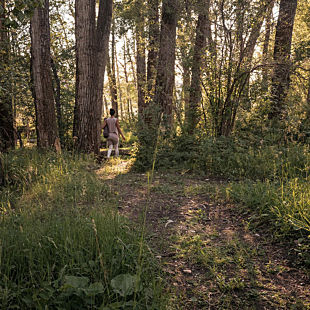Wellness Experience in Bozeman