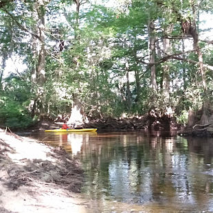 Half day Kayak Rental Riverbend