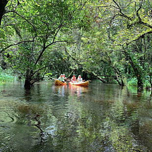 Pedal Paddle Tour