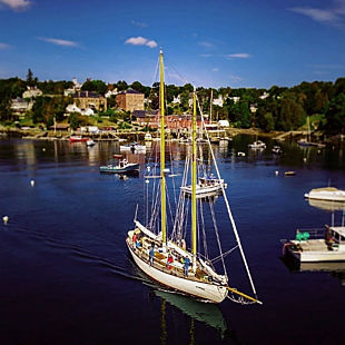 EcoSail Experience