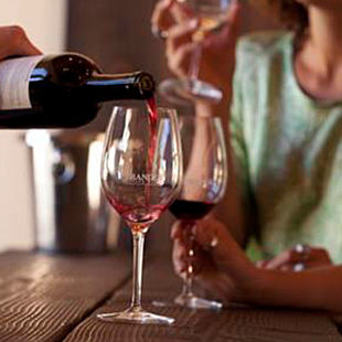 Wine Tour
