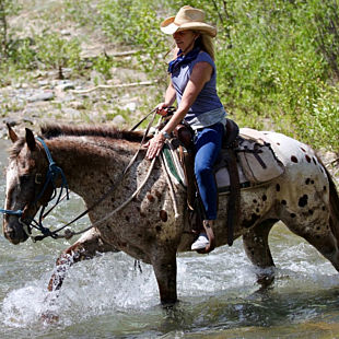 Girl Riding Horse Through Water