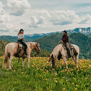 Two People on Horses in Meadow
