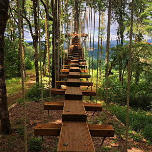 Treetop Adventure Course near Portland