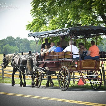 Gettysburg Battlefield Carriage Tour