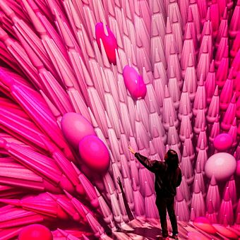 ARTECHOUSE Immersive Art Experience