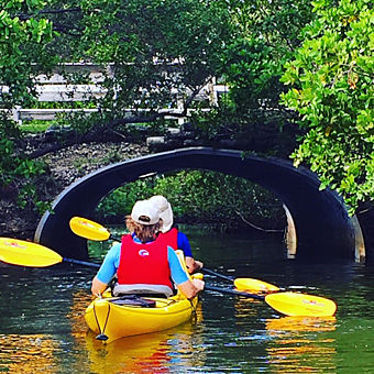 Oleta Kayak Tour