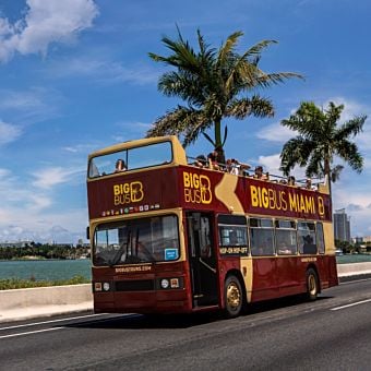 2-Day Big Bus Miami Hop-On Hop-Off Tour with Scenic Cruise