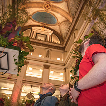 Chicago Architecture & Highlights Tour
