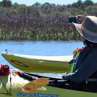 Marsh Kayaking Eco Tour