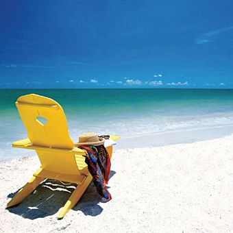 Beautiful Clearwater Beach Day with Lunch