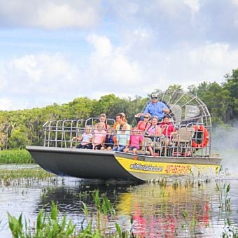 Everglades Airboat Tour and Drive-Thru Wildlife Safari